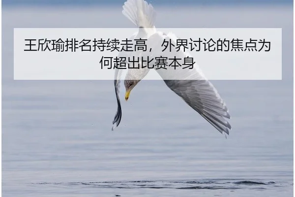 wang-xin-yu-pai-ming-chi-xu-zou-gao-wai-jie-tao-lun-de-jiao-dian-wei-he-chao-chu-bi-sai-ben-shen-2-990.jpg